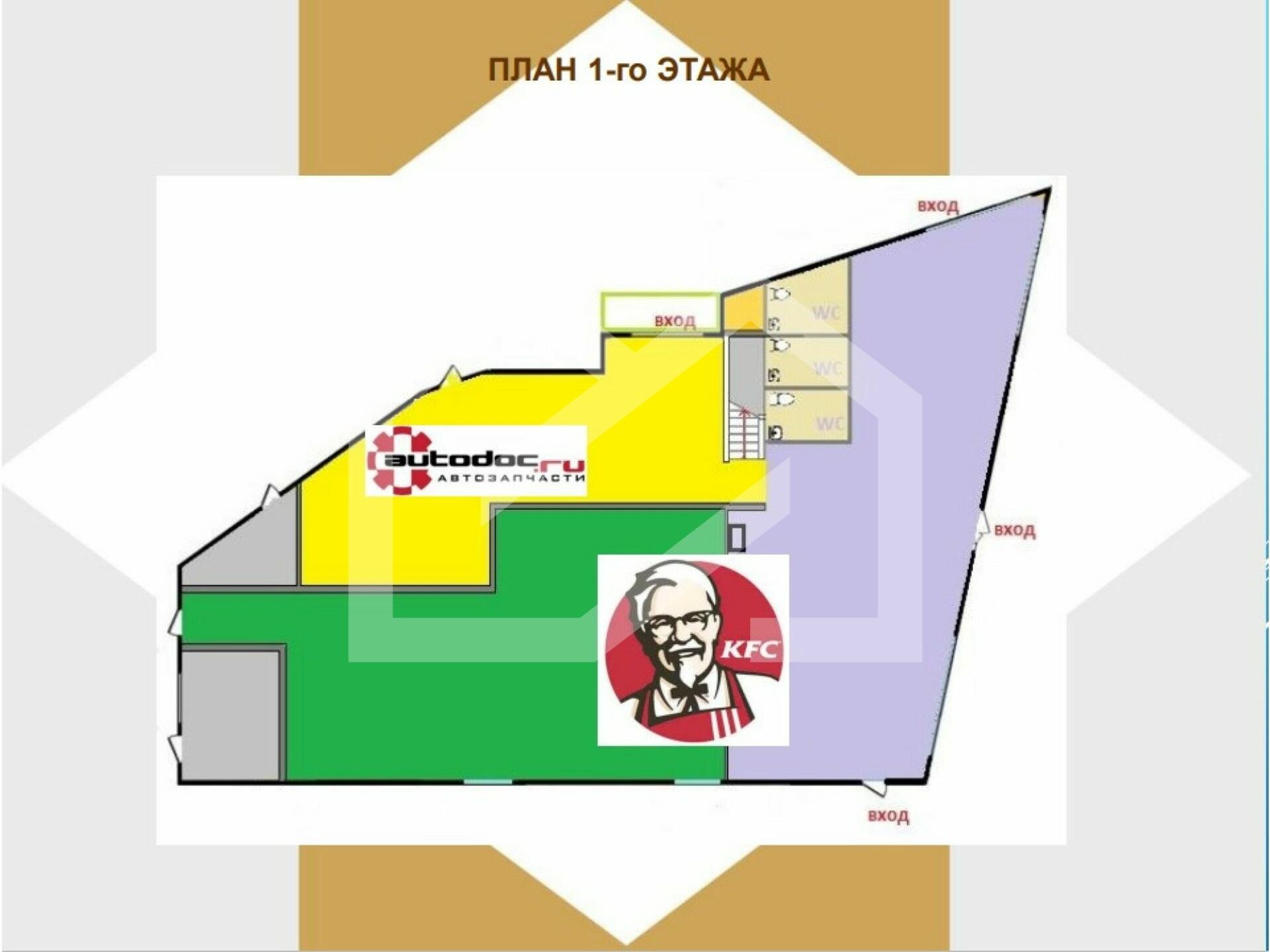 HXNVB8NZOVdWbungzHxF.jpeg