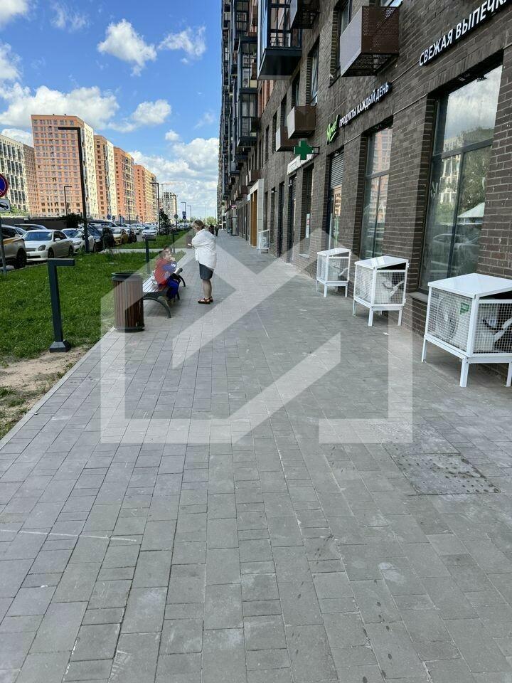 WTcF8gq4D6YgF5FoNofW.jpeg