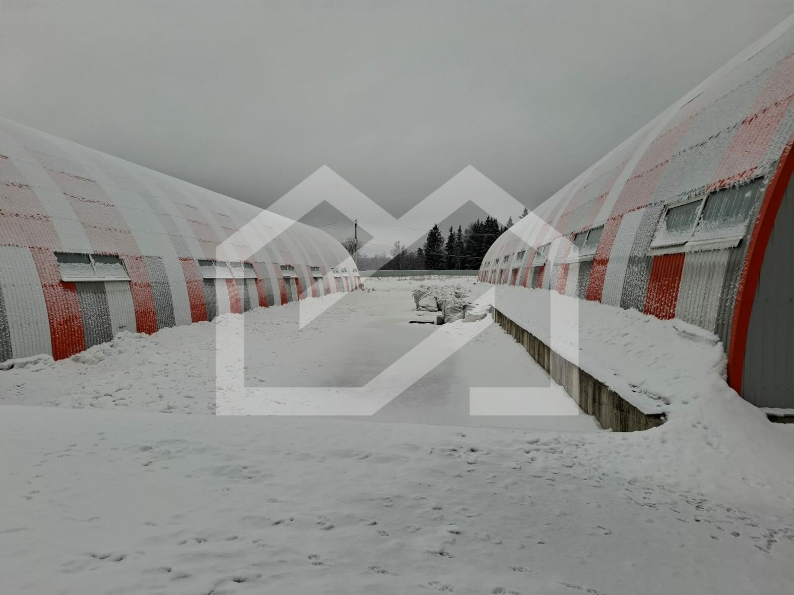 wVfEhmjsK2ugBuNsPFlm.jpeg