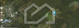 zV46FG1TW1cnin0uNffN.jpeg