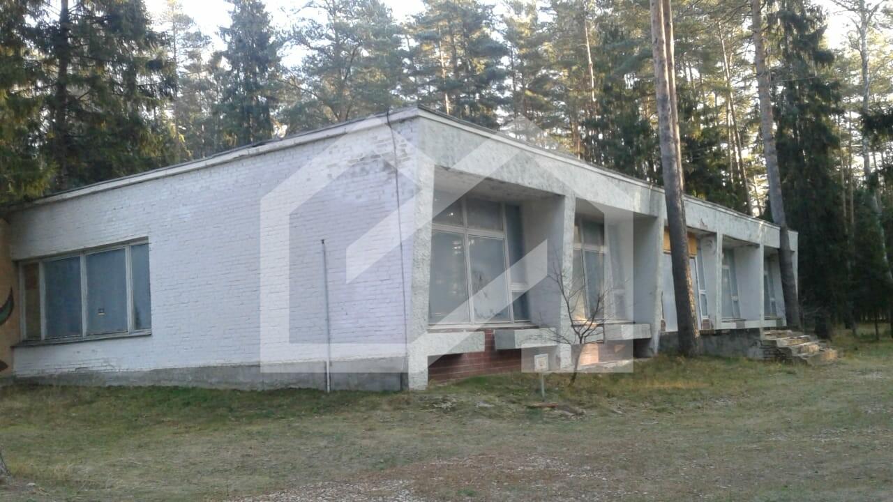 DUZSA8MH9BWG524Ngxv1.jpeg