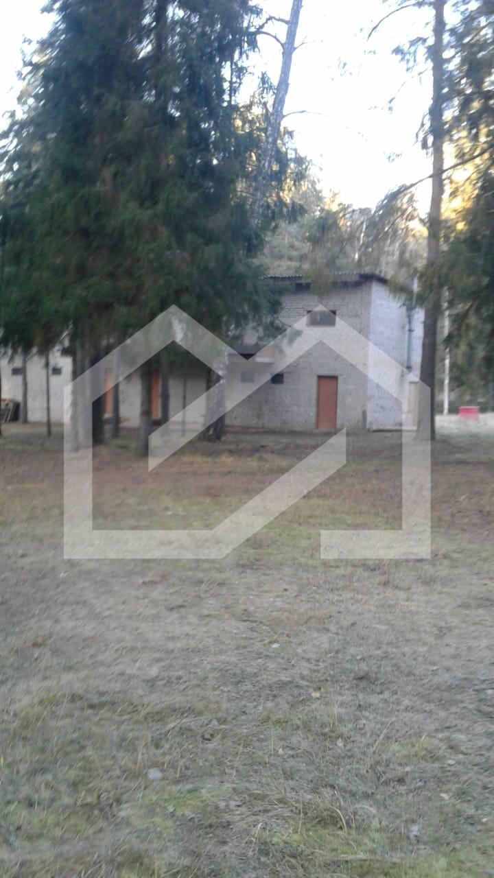 NZGbca2WWaLHqvxdC767.jpeg