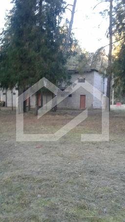NZGbca2WWaLHqvxdC767.jpeg