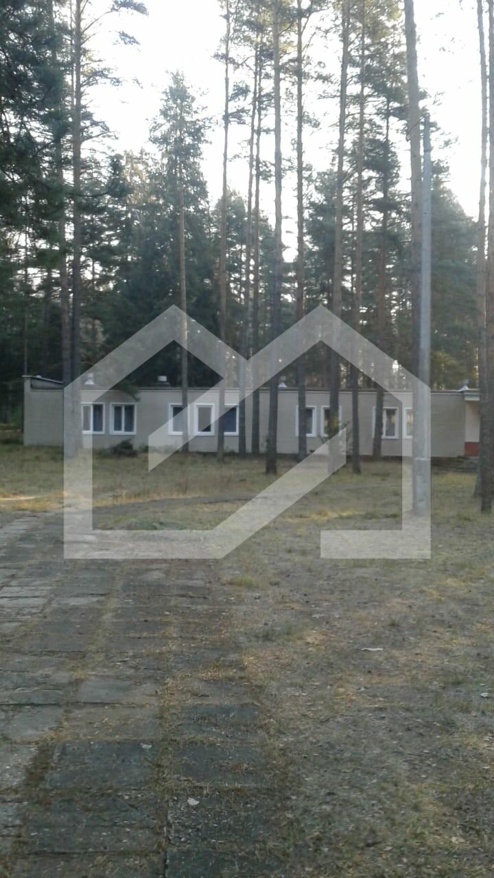 VomNYLgLBxFXMIp1gUUs.jpeg