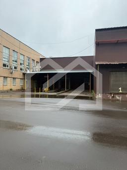 WjsPvhxf298ZiLWvrOFq.jpeg