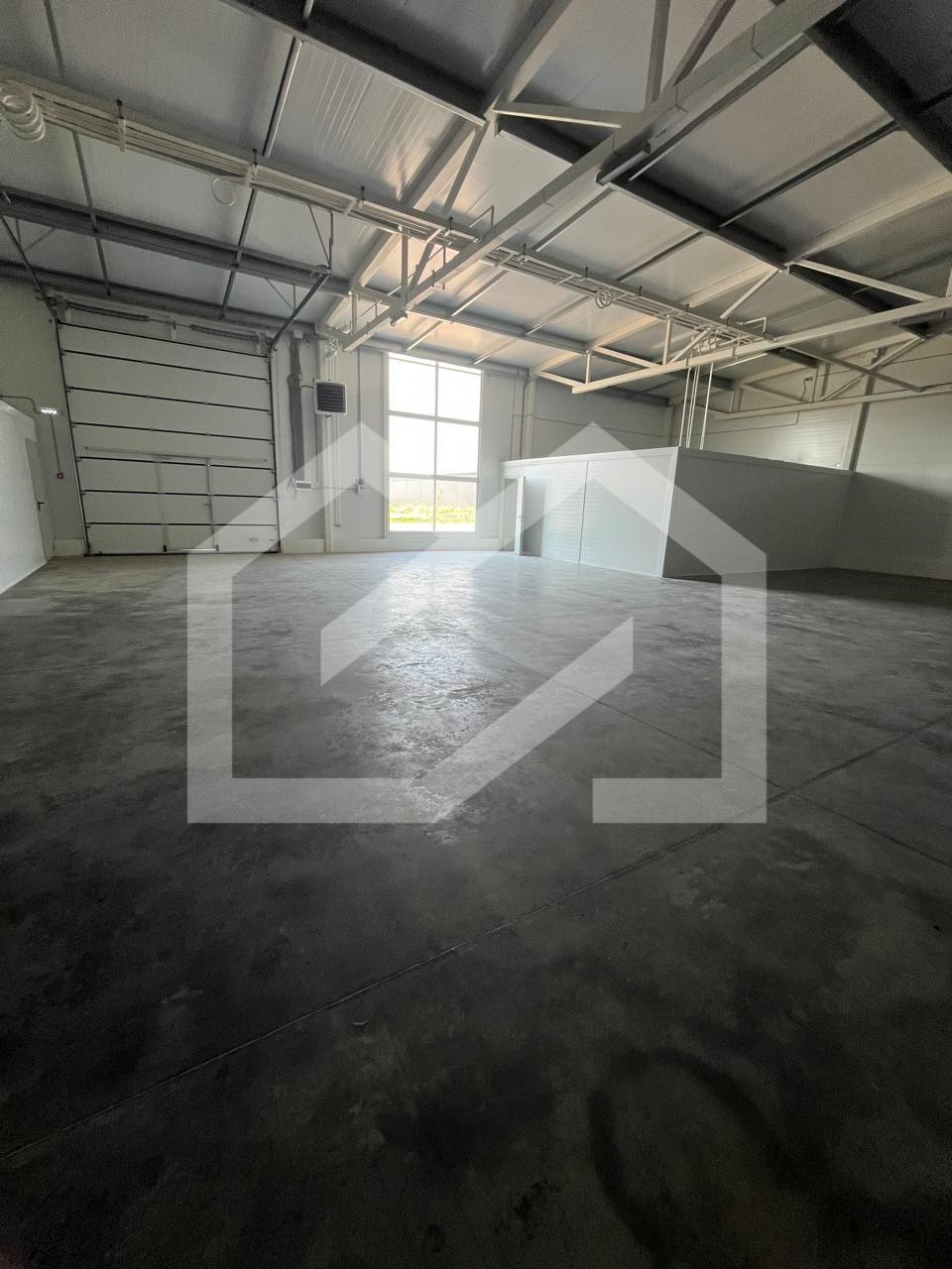 WhatsApp Image 2025-07-23 at 19.42.33 (2).jpeg