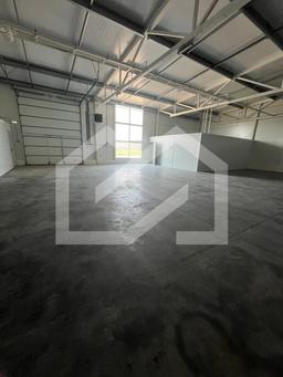 WhatsApp Image 2025-07-23 at 19.42.33 (2).jpeg