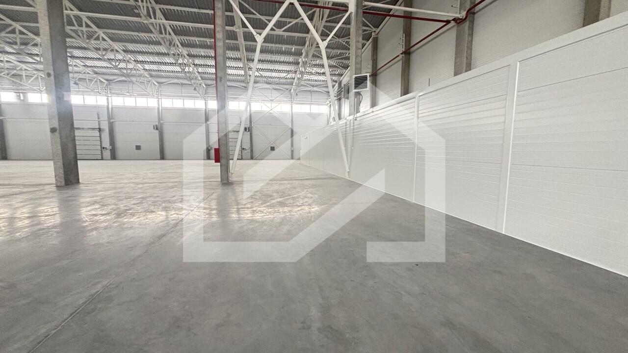 5442891593733049972 (1).jpg