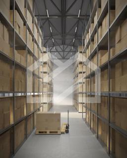 WhatsApp Image 2025-08-07 at 15.42.18 (2).jpeg