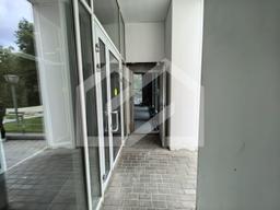 WhatsApp Image 2025-08-14 at 14.18.02.jpeg