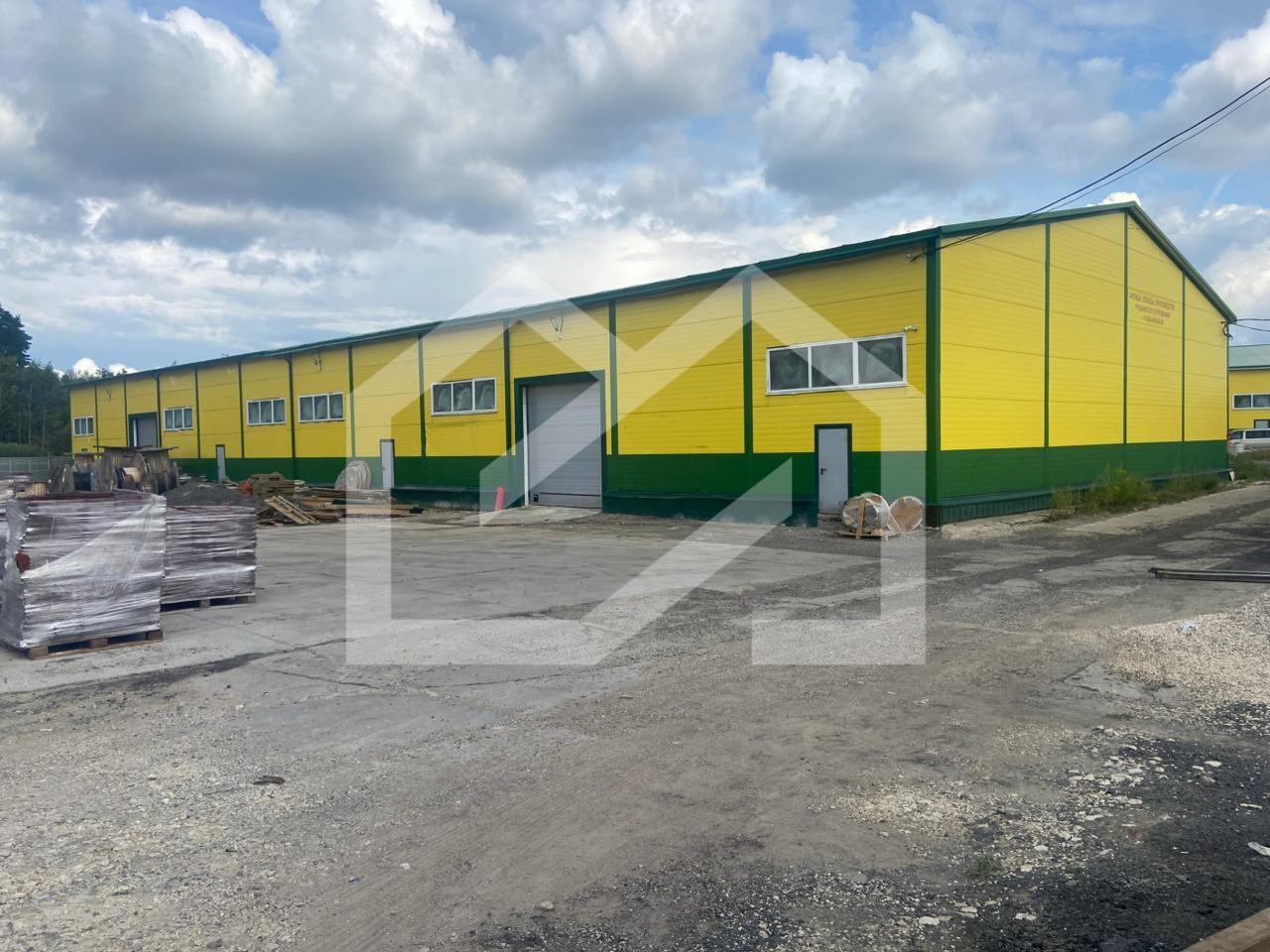 WhatsApp Image 2025-08-12 at 16.41.00 (2).jpeg