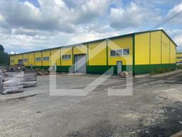 WhatsApp Image 2025-08-12 at 16.41.00 (2).jpeg