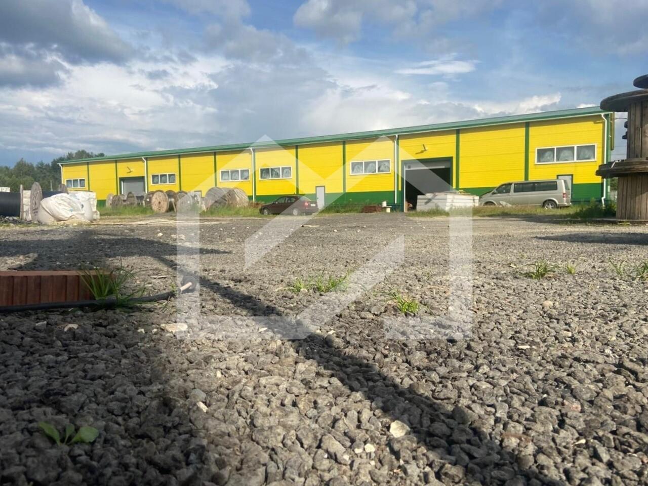 WhatsApp Image 2025-08-12 at 16.40.59 (1).jpeg