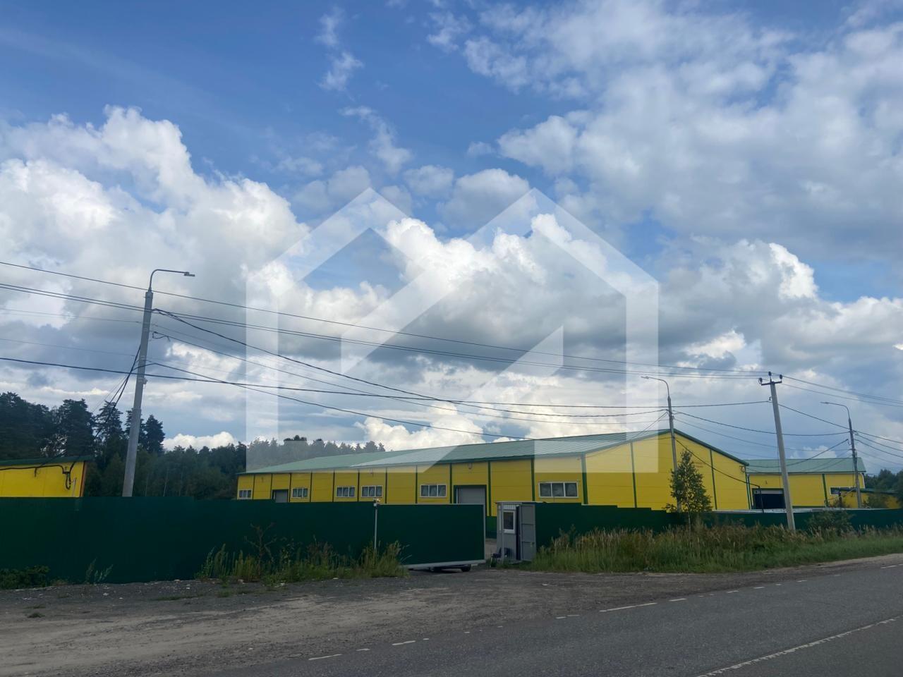 WhatsApp Image 2025-08-12 at 16.41.01 (1).jpeg