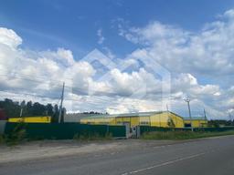 WhatsApp Image 2025-08-12 at 16.41.01 (2).jpeg