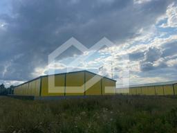 WhatsApp Image 2025-08-12 at 16.41.02 (1).jpeg