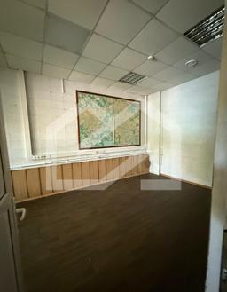 WhatsApp Image 2025-08-13 at 16.56.27.jpeg