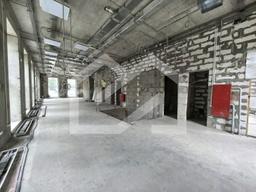 WhatsApp Image 2025-08-14 at 14.18.01 (6).jpeg