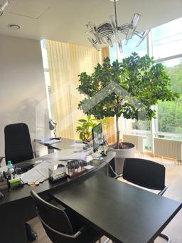 WhatsApp Image 2025-08-11 at 13.24.35 (1).jpeg