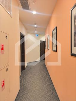 WhatsApp Image 2025-08-11 at 13.24.35.jpeg