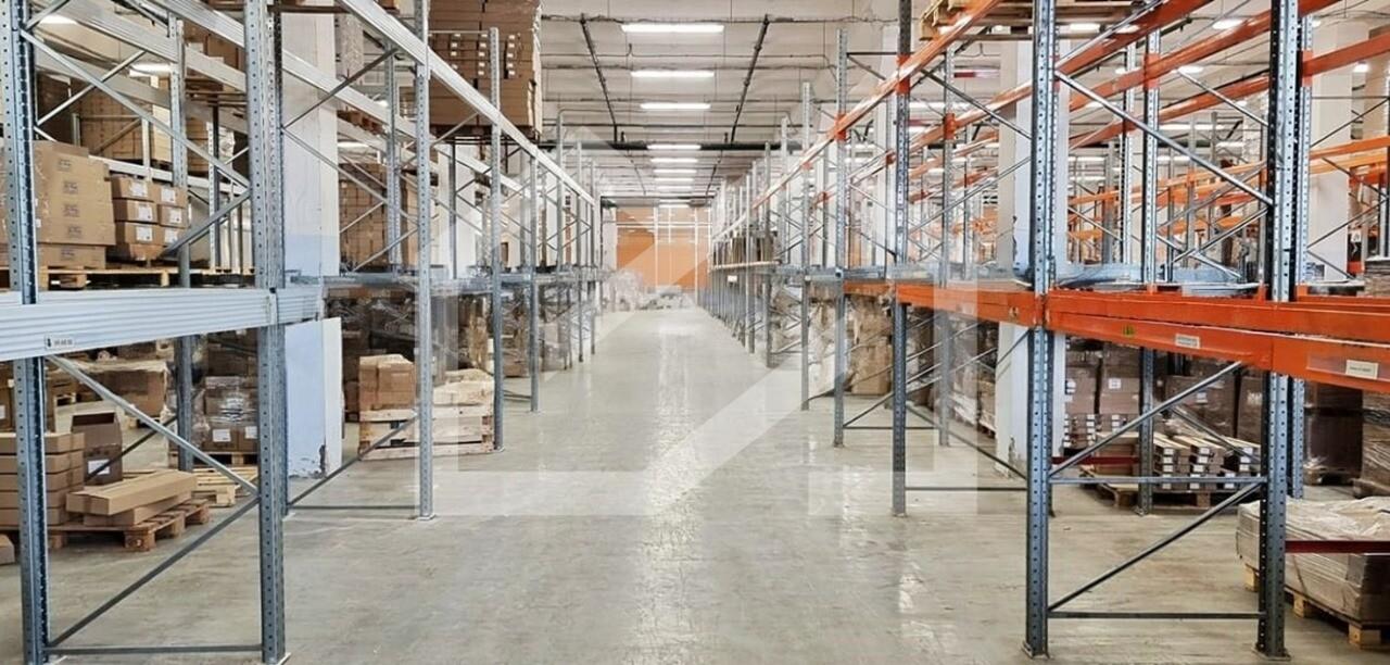 WhatsApp Image 2025-08-21 at 17.05.06 (2).jpeg