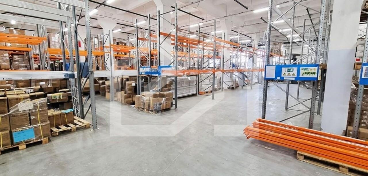 WhatsApp Image 2025-08-21 at 17.08.44.jpeg