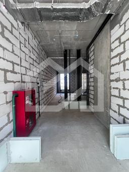 WhatsApp Image 2025-08-22 at 16.31.23.jpeg