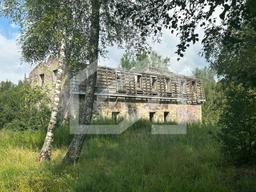 WhatsApp Image 2025-08-26 at 08.21.37 (2).jpeg