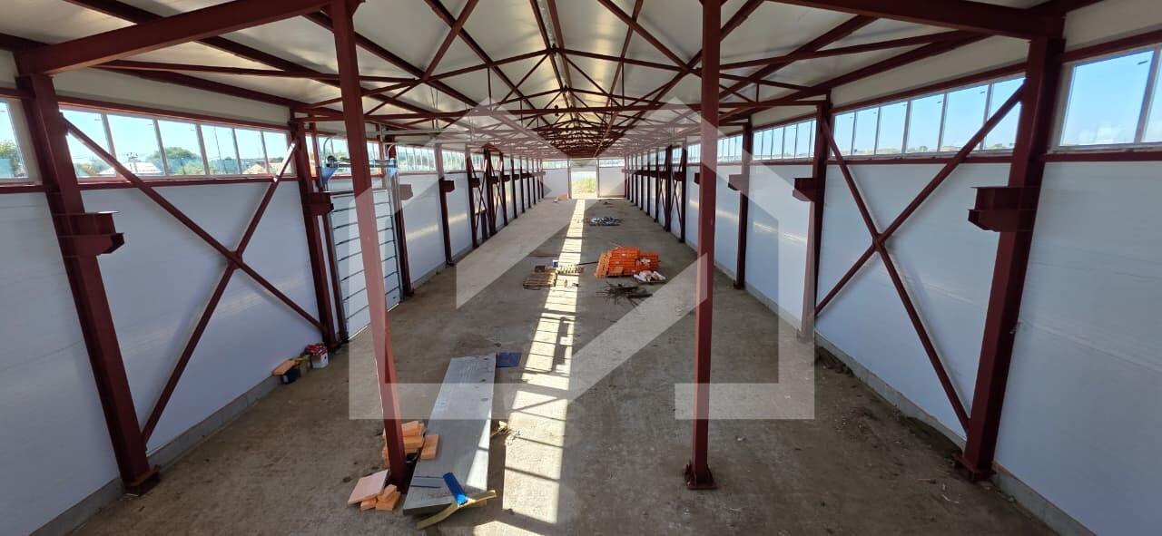 WhatsApp Image 2025-09-30 at 13.45.20.jpeg