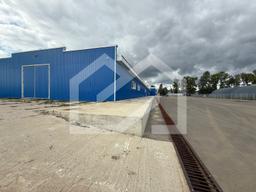 WhatsApp Image 2025-08-28 at 11.19.26.jpeg