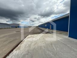 WhatsApp Image 2025-08-28 at 11.19.28 (1).jpeg