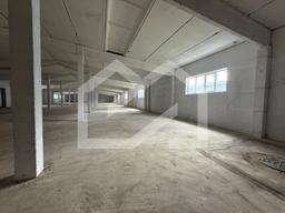 WhatsApp Image 2025-08-28 at 11.19.27.jpeg