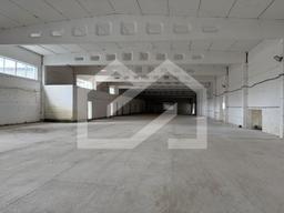 WhatsApp Image 2025-08-28 at 11.19.26 (1).jpeg