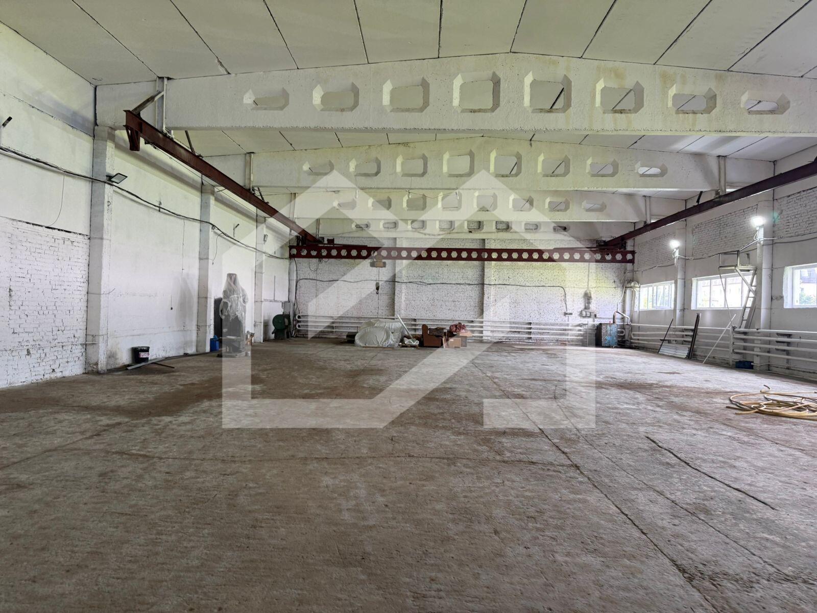 WhatsApp Image 2025-08-28 at 11.19.27 (3).jpeg