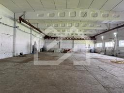 WhatsApp Image 2025-08-28 at 11.19.27 (3).jpeg