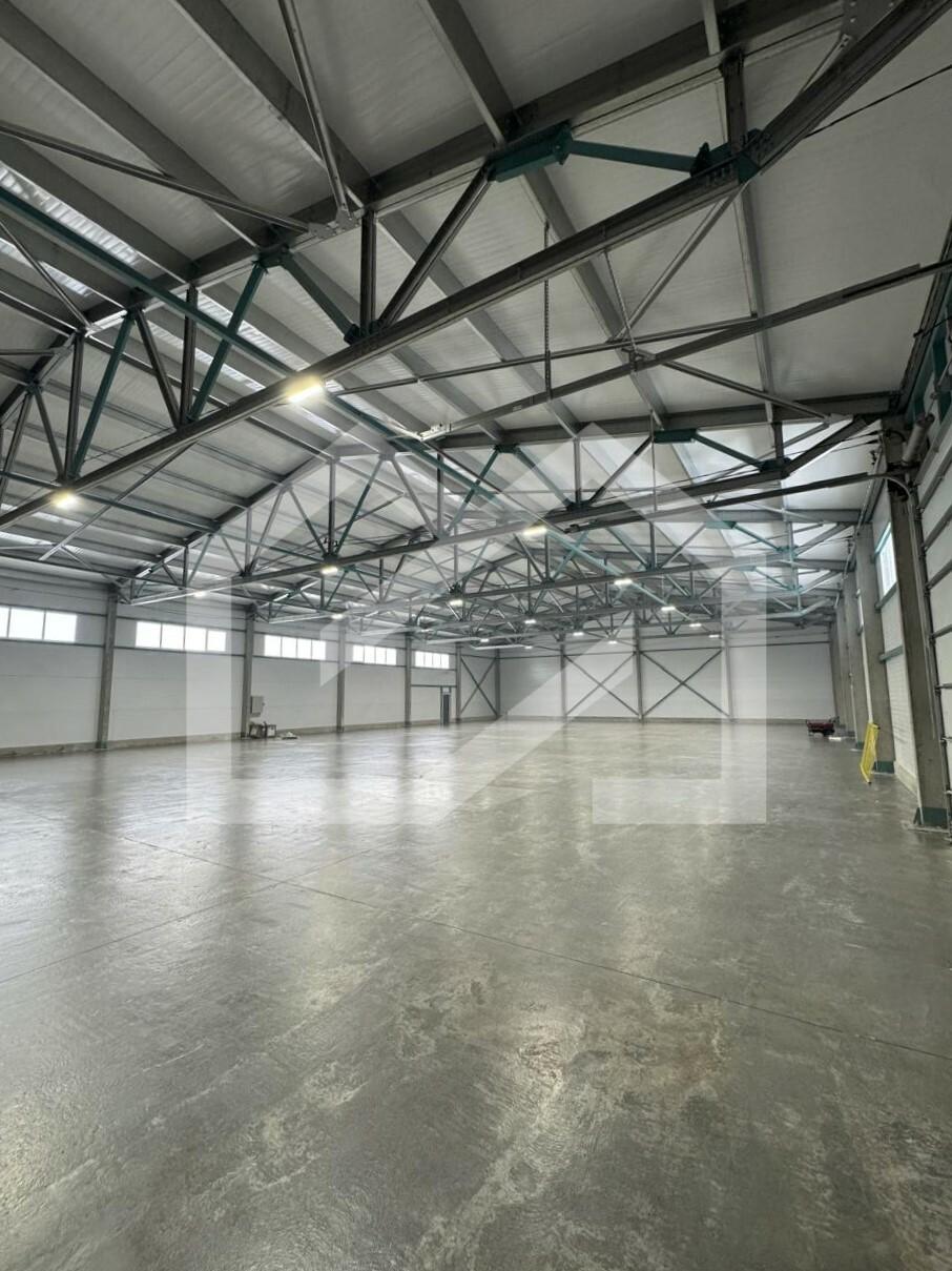 Изображение WhatsApp 2025-03-10 в 18.51.15_c41a81eb.jpg