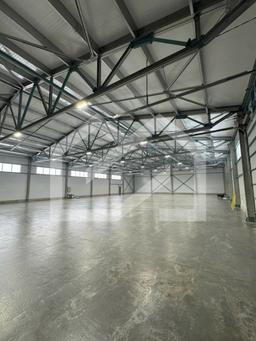 Изображение WhatsApp 2025-03-10 в 18.51.15_c41a81eb.jpg