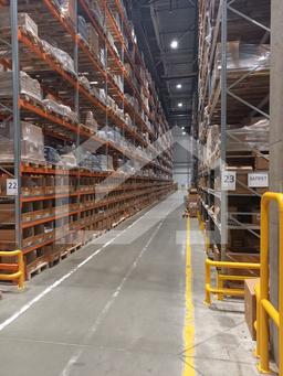 WhatsApp Image 2025-09-18 at 14.05.53.jpeg