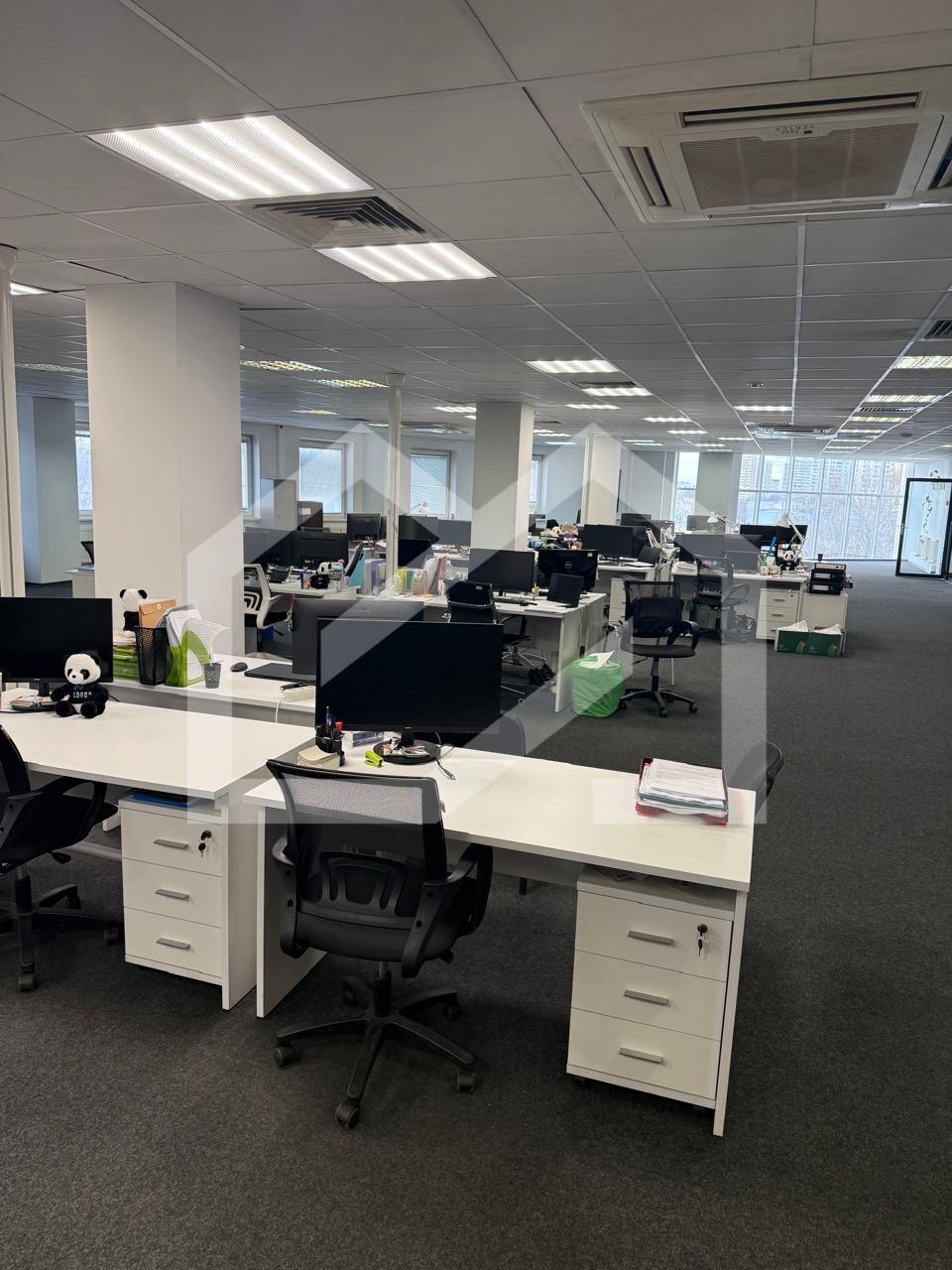 WhatsApp Image 2025-09-15 at 11.50.26.jpeg