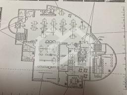 WhatsApp Image 2025-09-15 at 11.50.33.jpeg