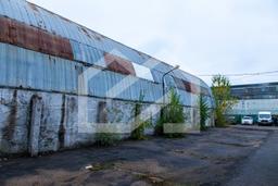 Копия IMG_8939.jpg