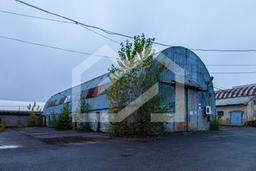 Копия IMG_8931.jpg