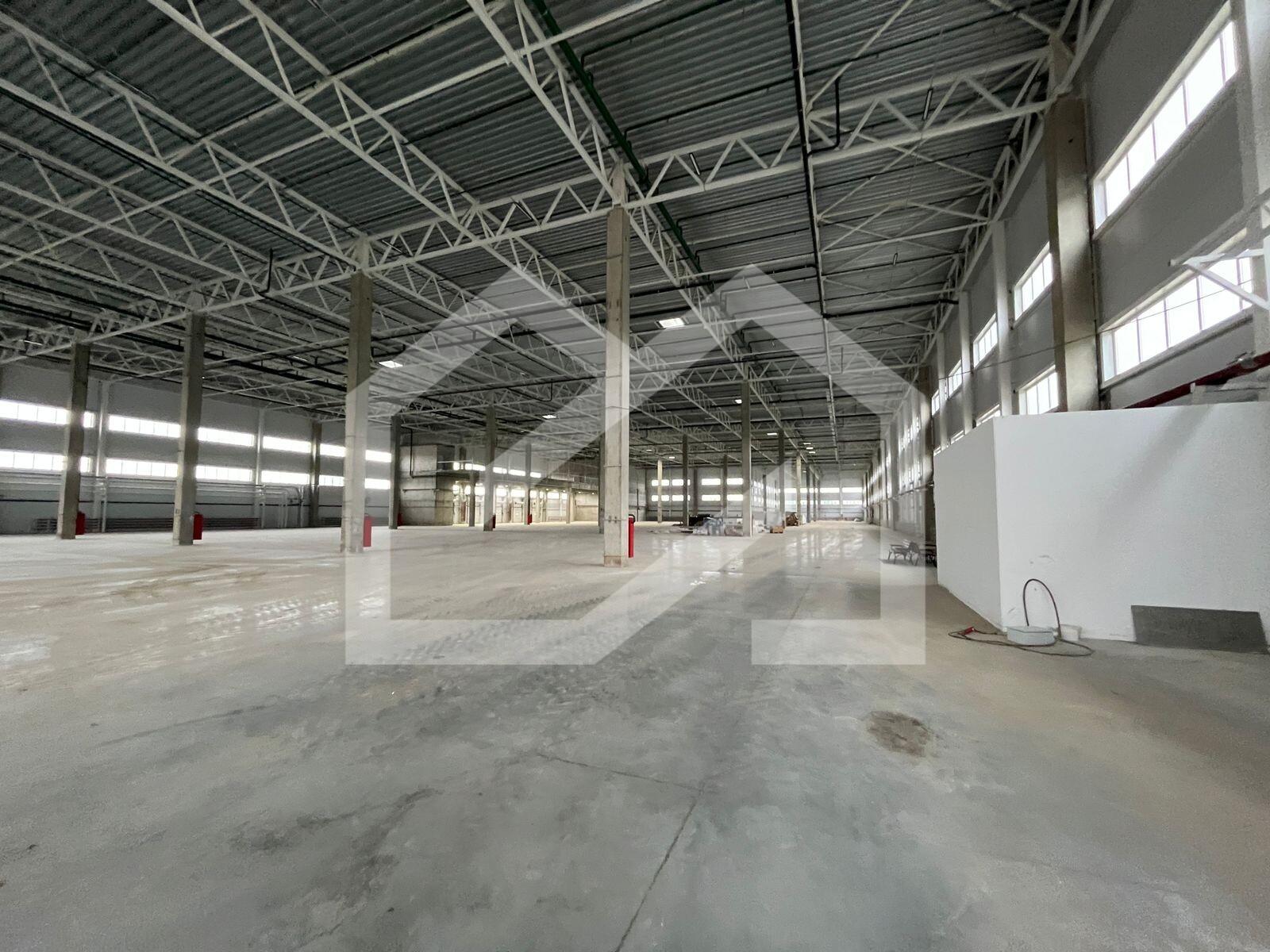 WhatsApp Image 2025-10-22 at 16.37.17 (5).jpeg