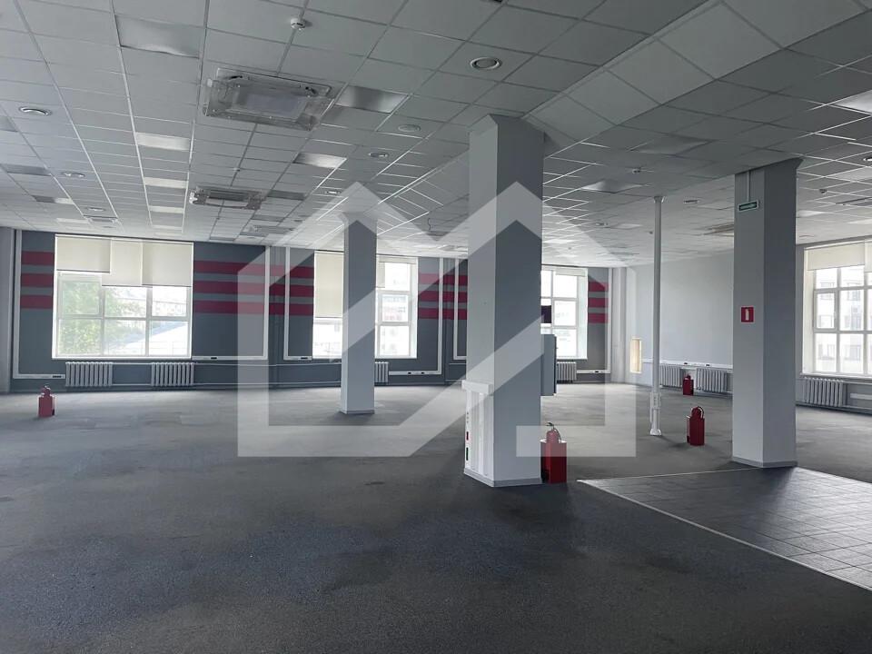 45969513.jpg.webp