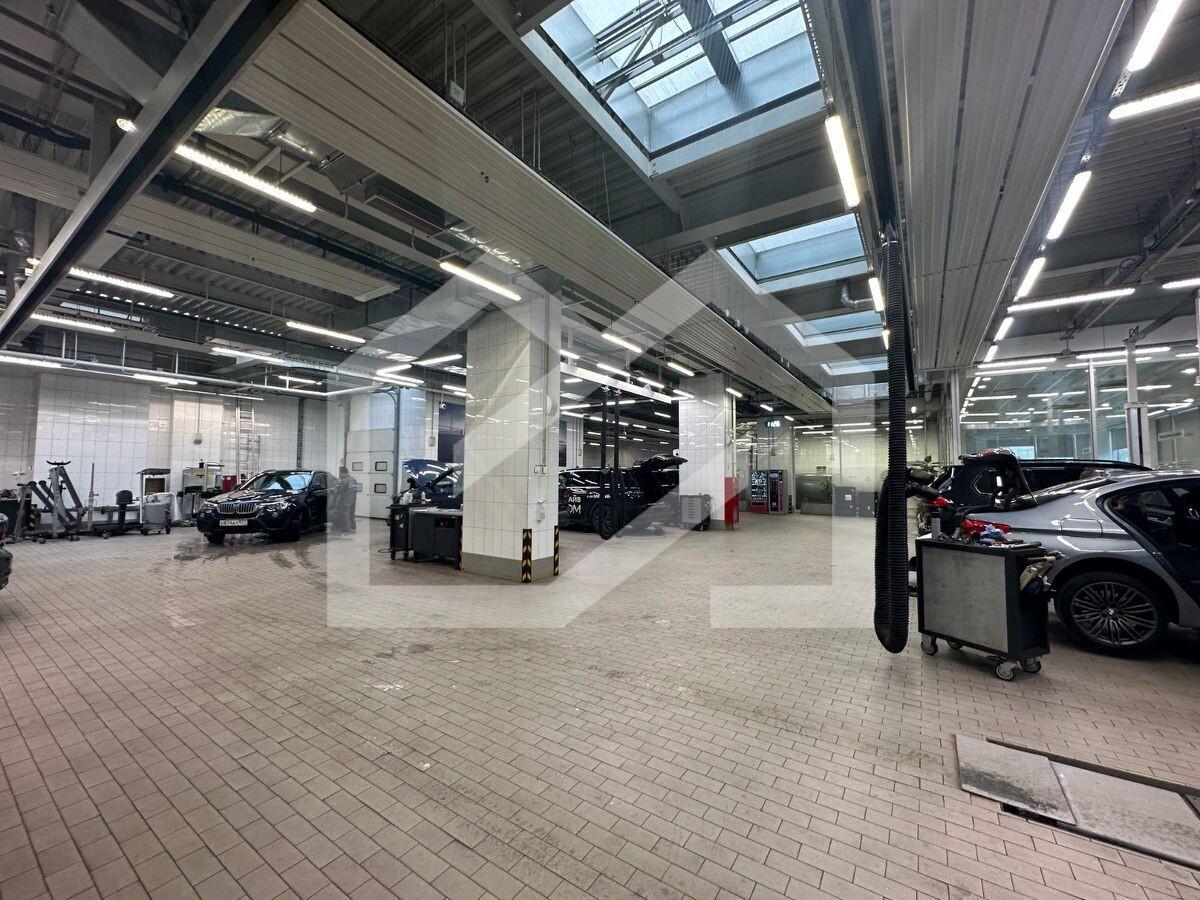 9.jpg
