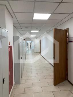 WhatsApp Image 2025-09-26 at 11.47.40.jpeg