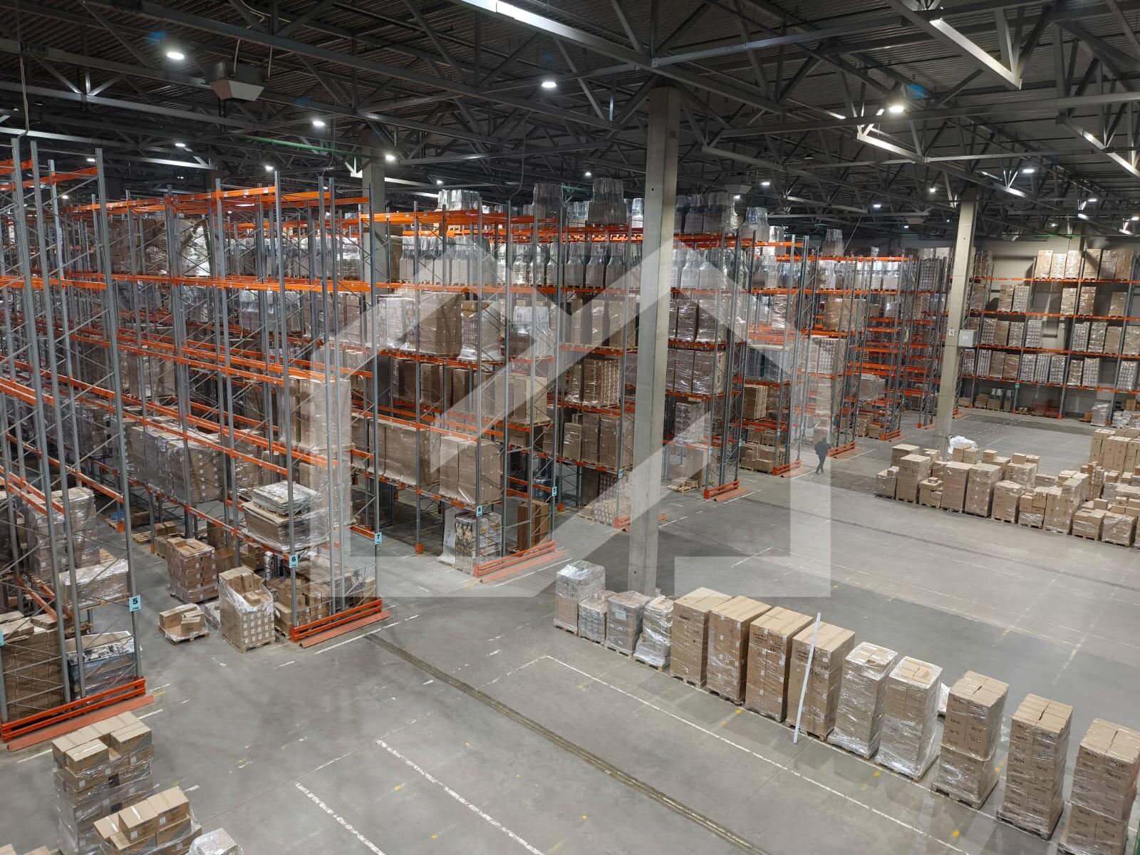 WhatsApp Image 2025-10-10 at 10.55.25 (1).jpeg