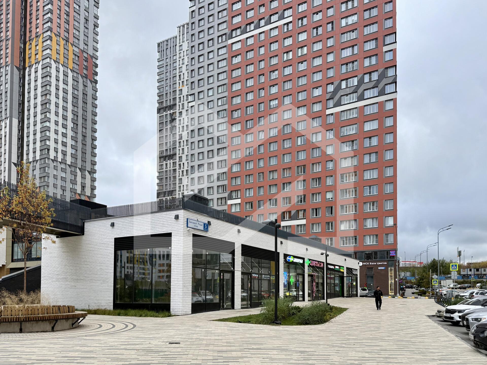 Копия IMG_2600.jpg