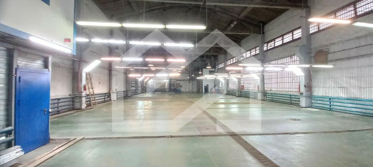 WhatsApp Image 2024-06-07 at 12.55.32 (3).jpeg