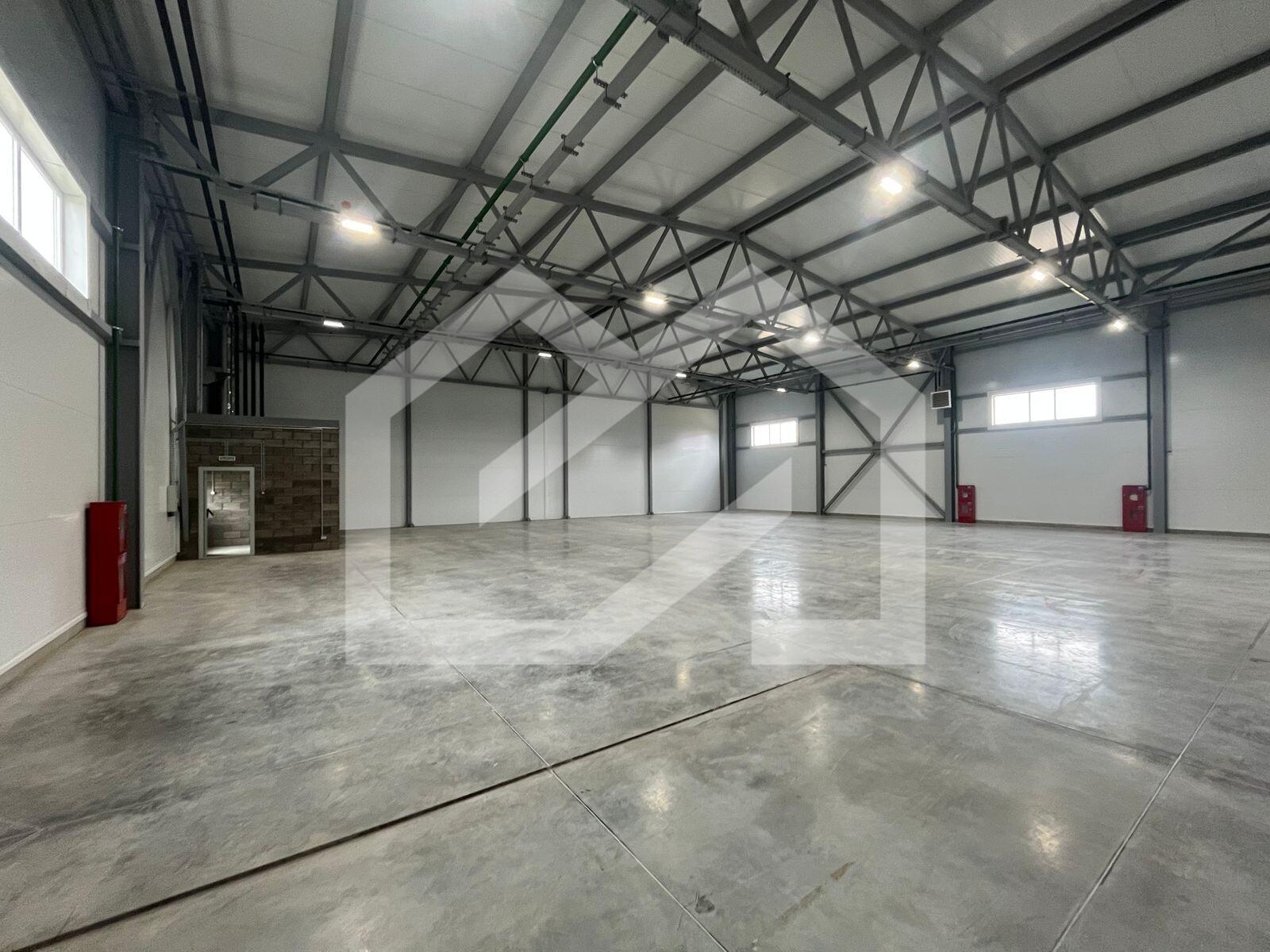 WhatsApp Image 2025-08-12 at 10.58.41.jpeg